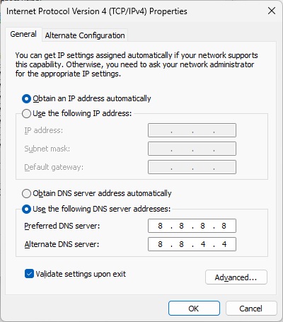 Windows TCPIP settings showing Google DNS