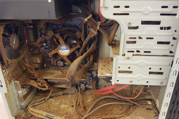 smoke shop computer